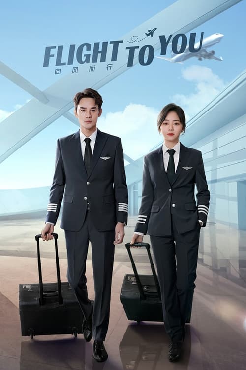 Flight to You ลัดฟ้าหาหัวใจ ซับไทย
